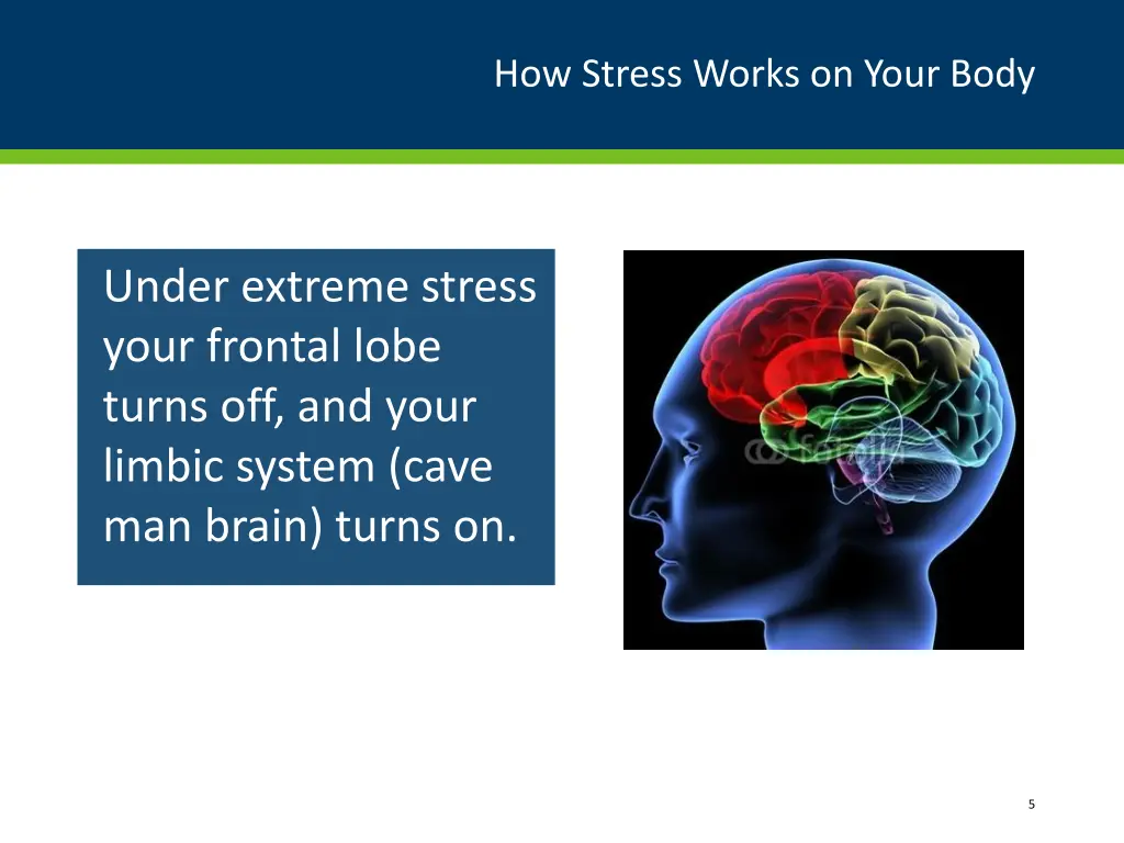 how stress works on your body