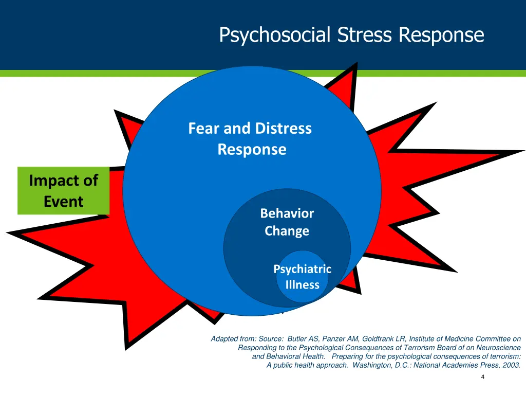 psychosocial stress response