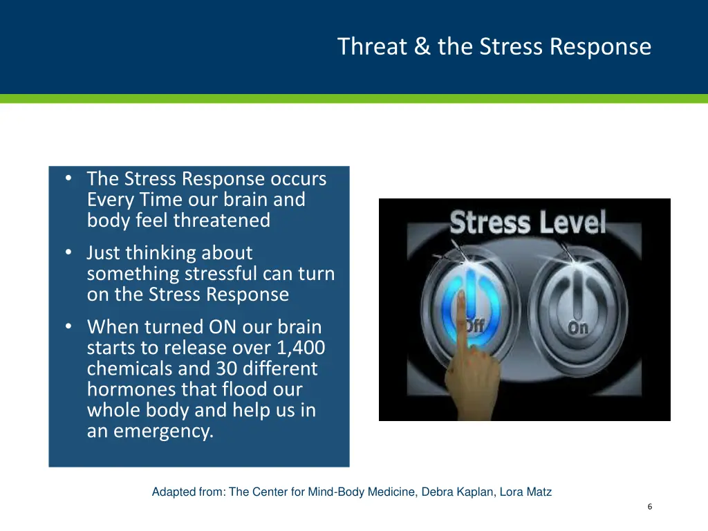 threat the stress response