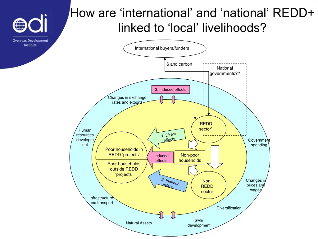 how are international and national redd linked