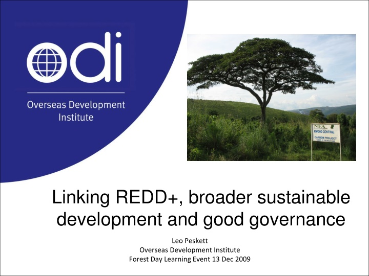 linking redd broader sustainable development