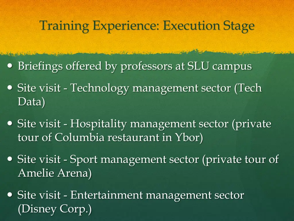 training experience execution stage