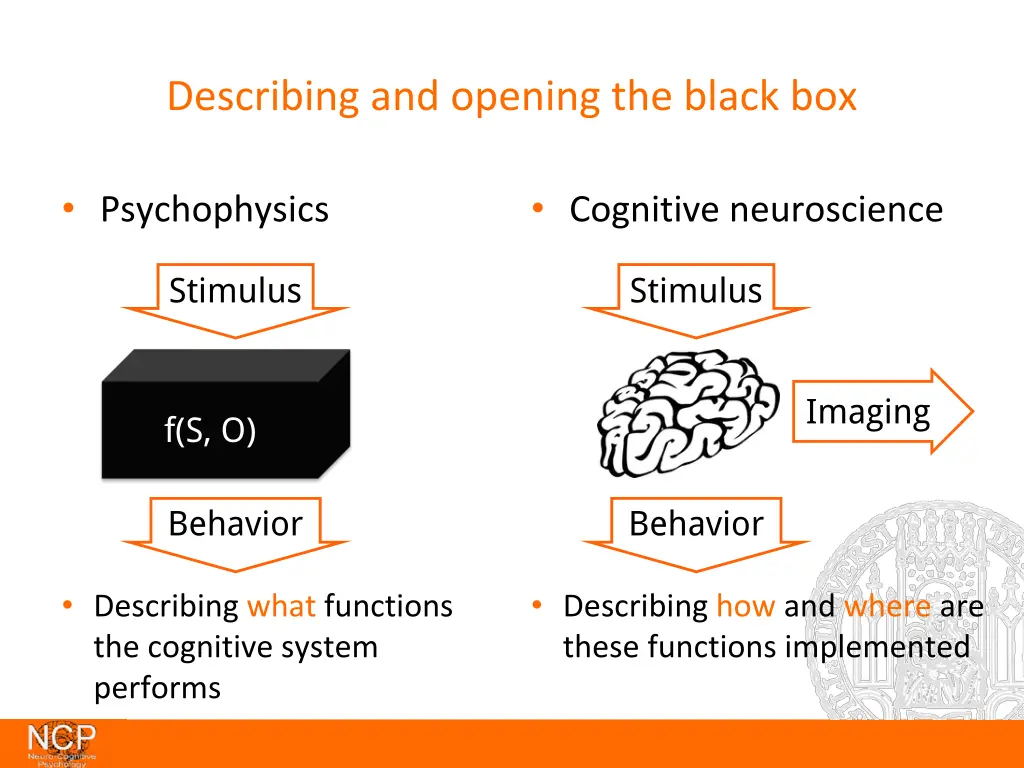 describing and opening the black box