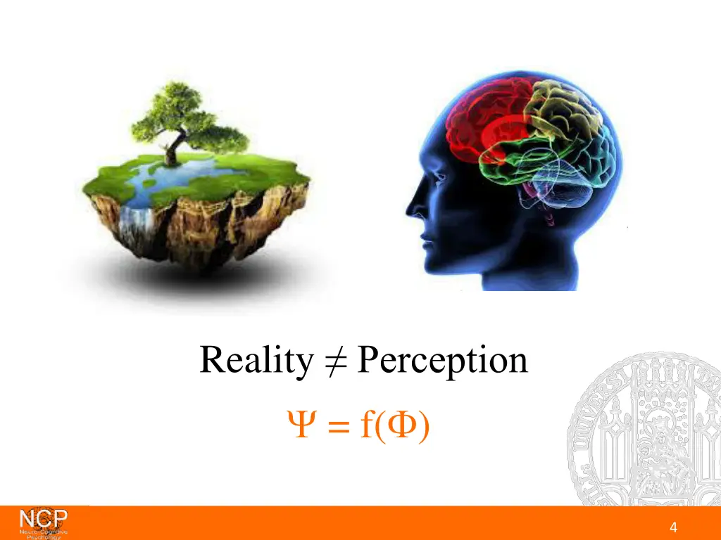 reality perception f