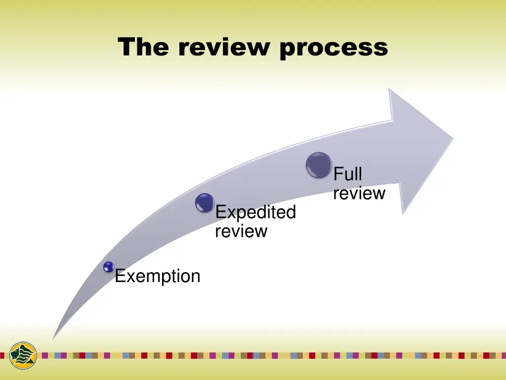 the review process