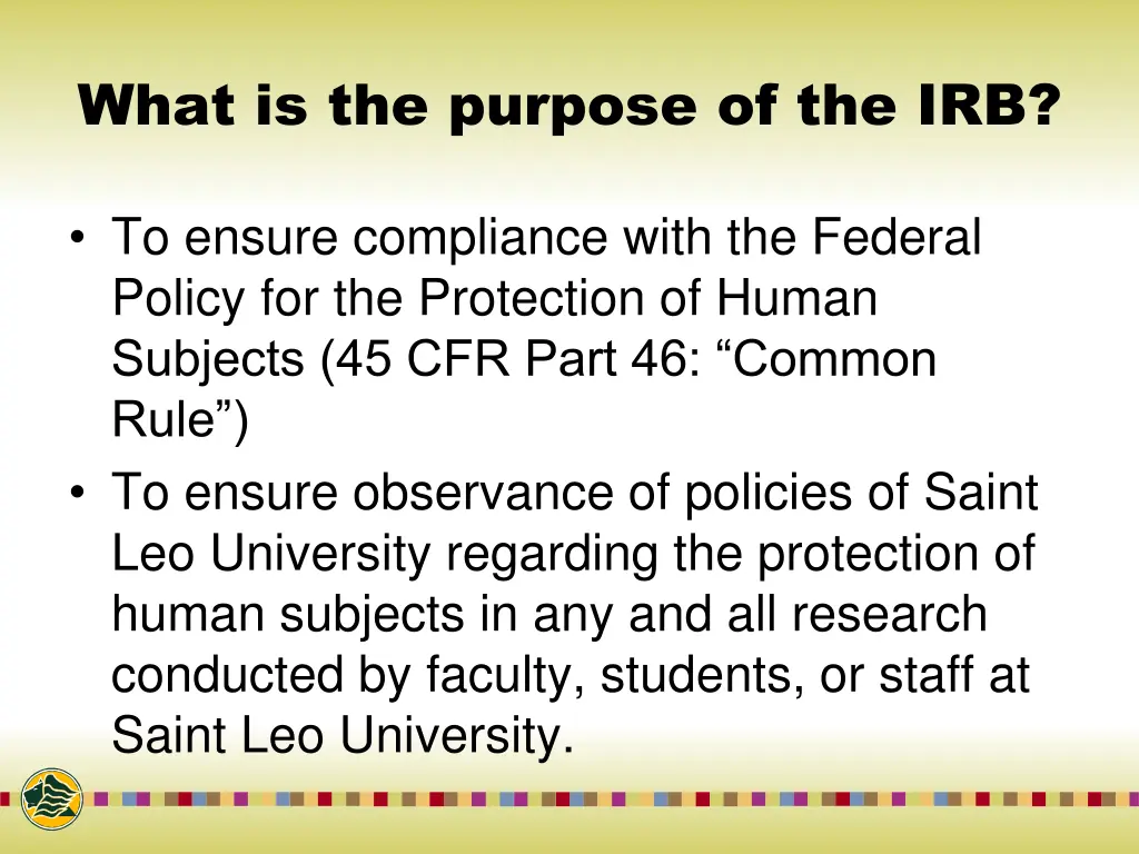 what is the purpose of the irb