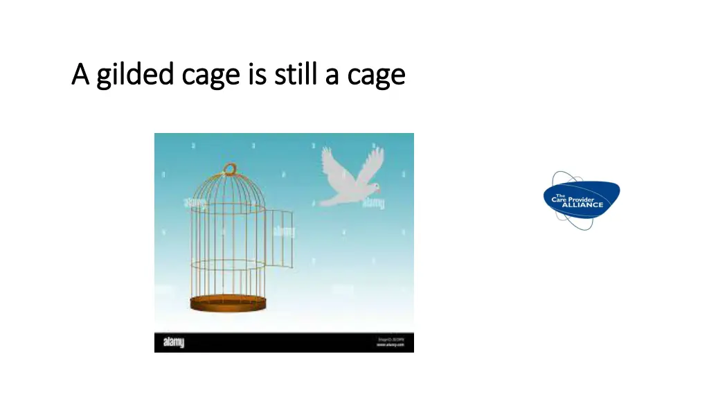 a gilded cage is still a cage a gilded cage