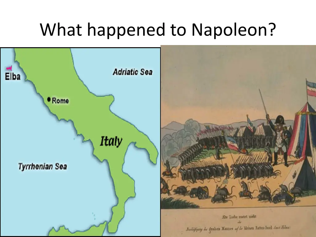 what happened to napoleon