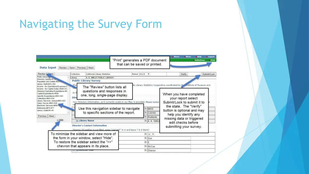 navigating the survey form