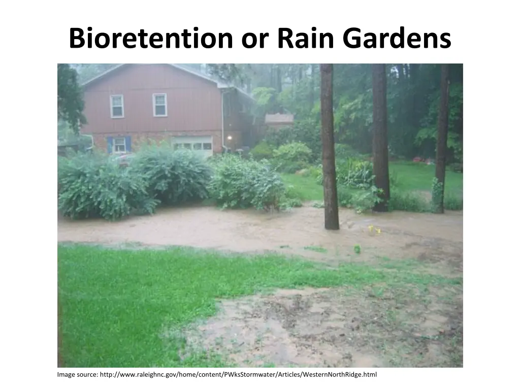 bioretention or rain gardens