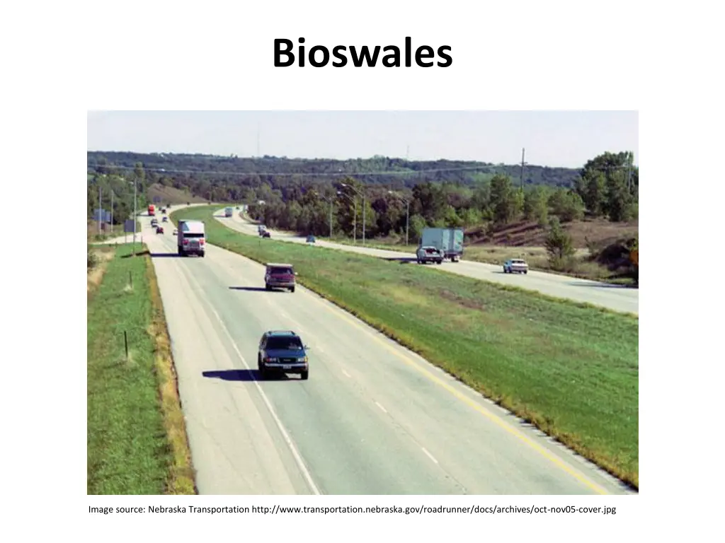 bioswales