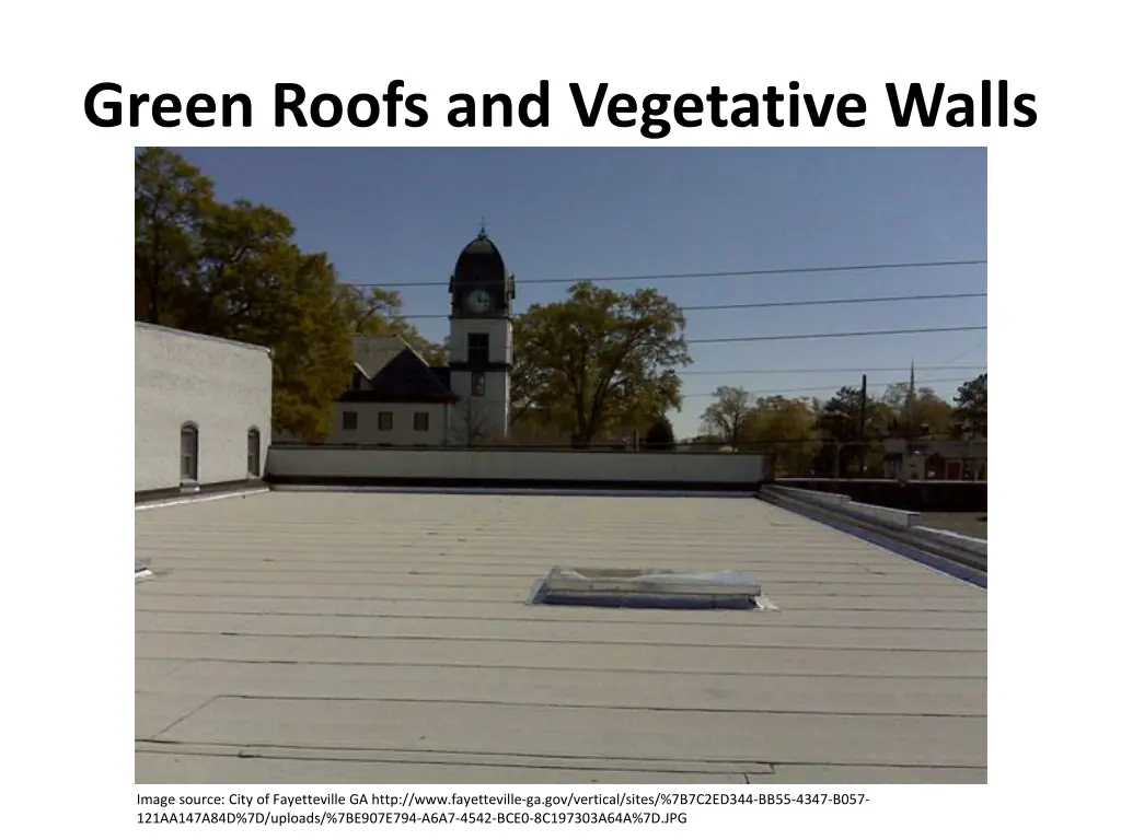 green roofs and vegetative walls