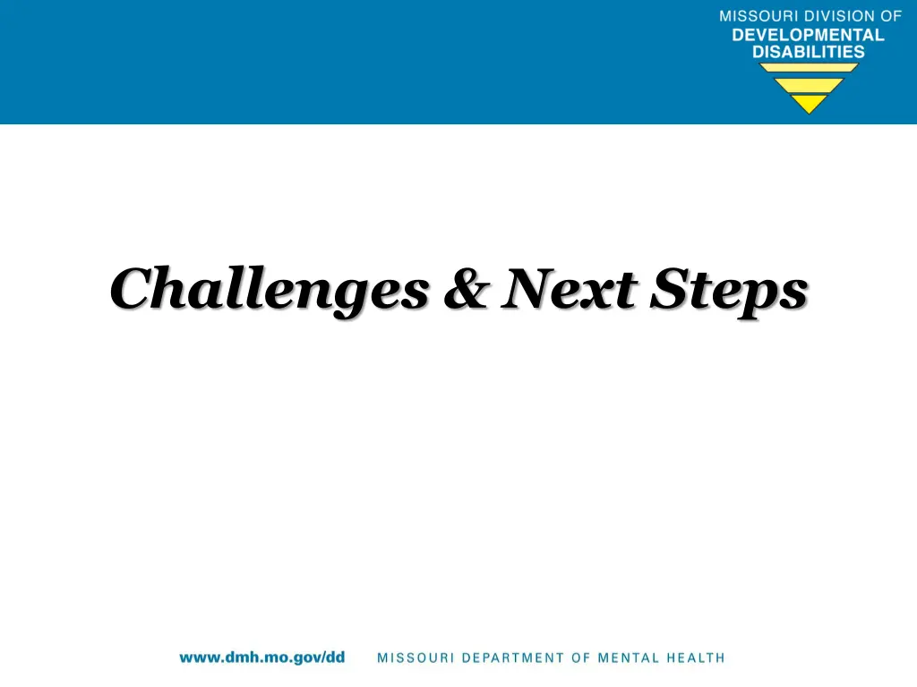 challenges next steps