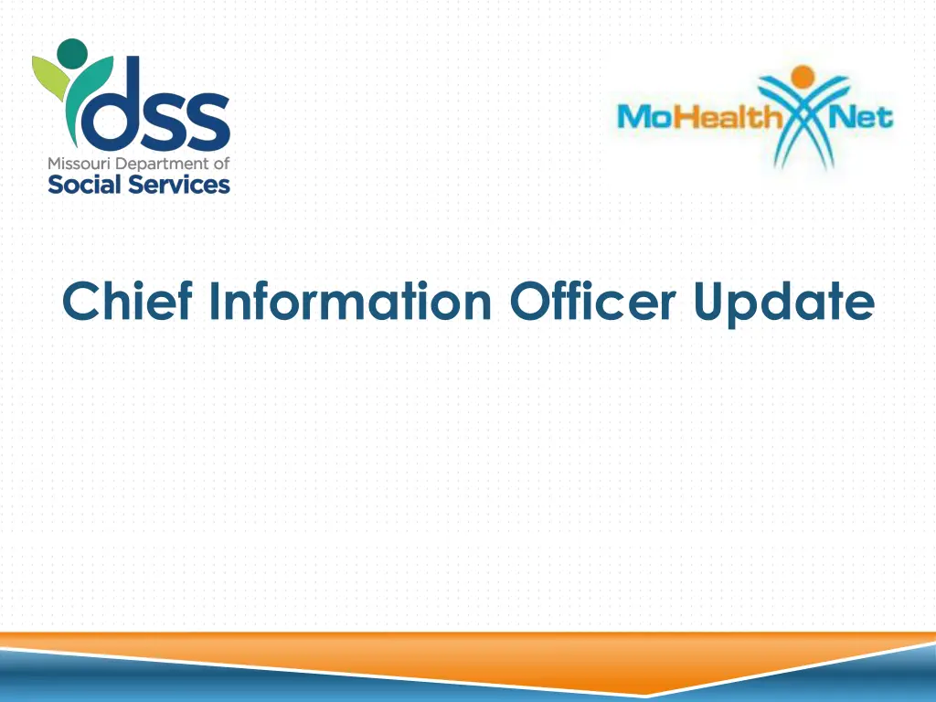 chief information officer update