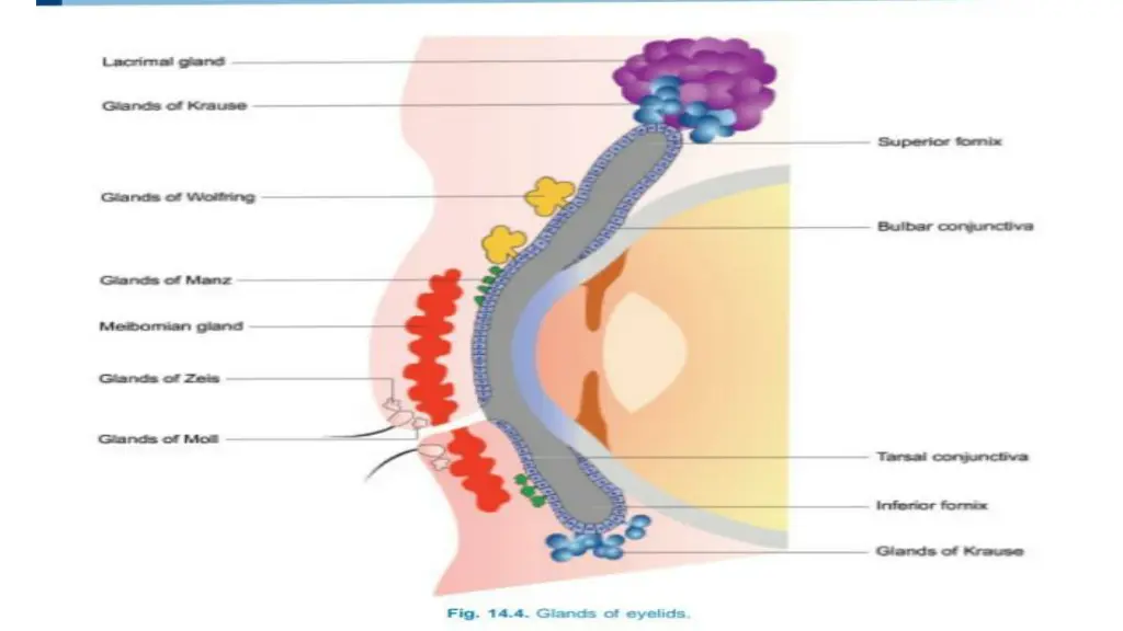 slide6