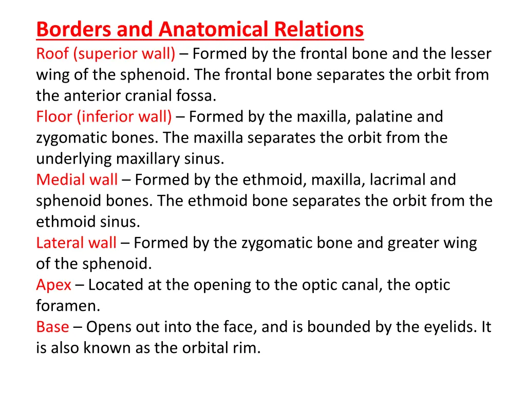 borders and anatomical relations roof superior