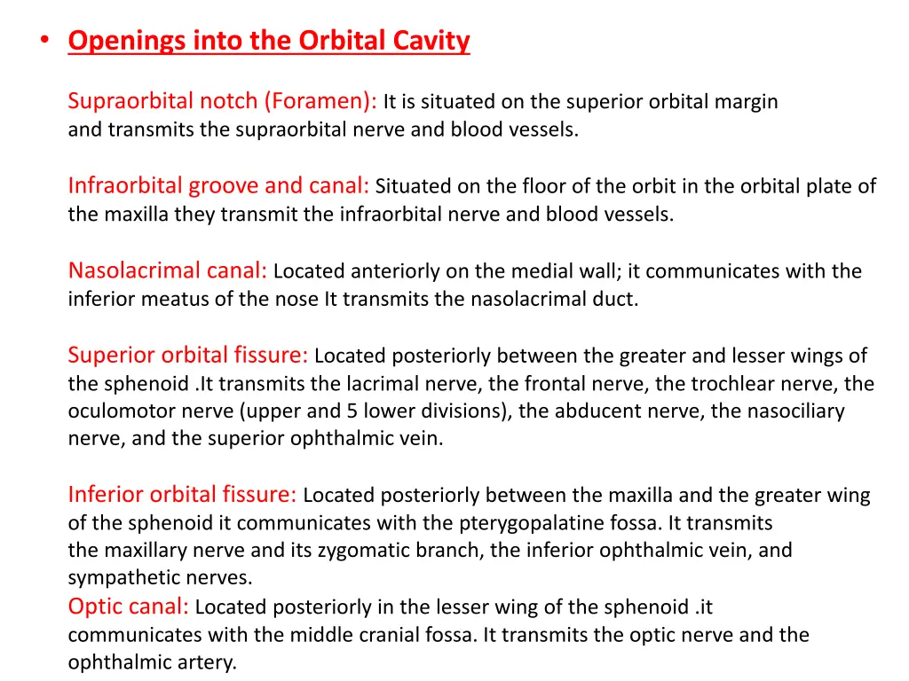 openings into the orbital cavity