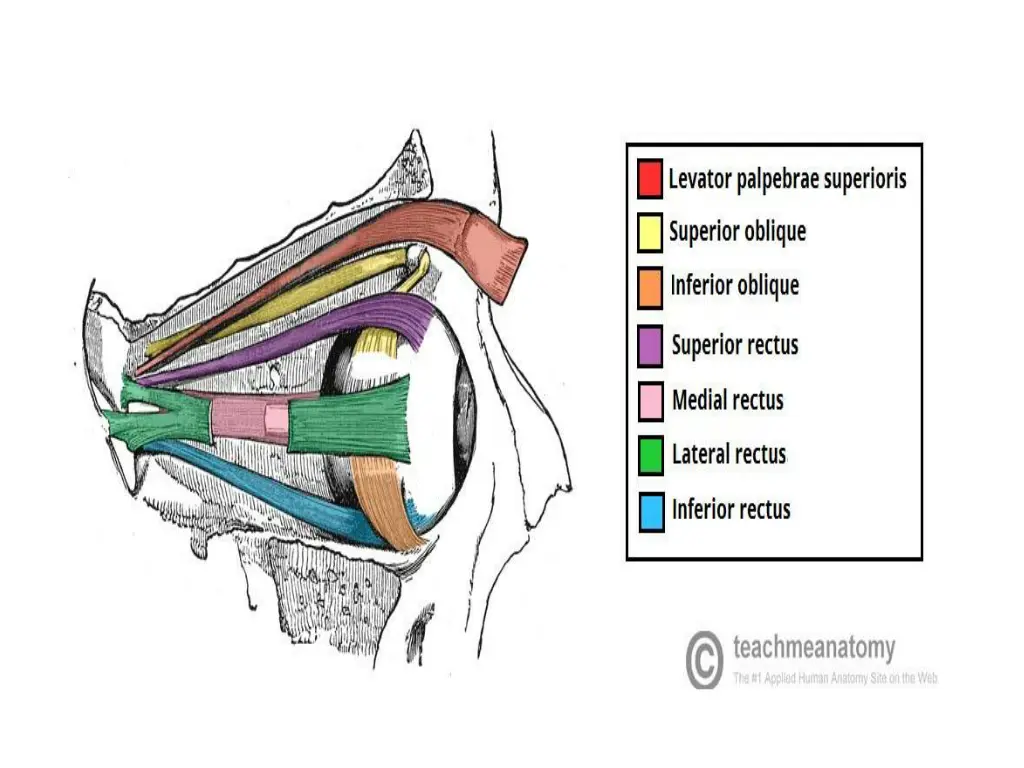 slide12