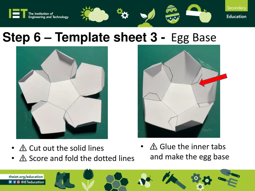 step 6 template sheet 3 egg base