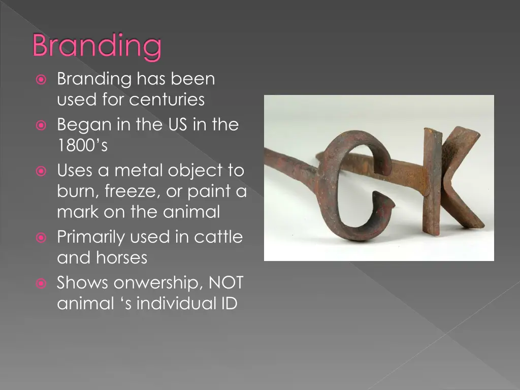 branding branding has been used for centuries