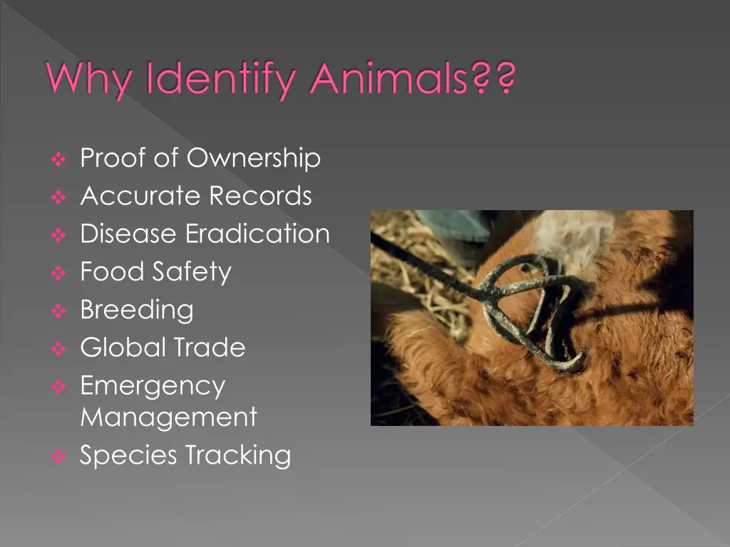 why identify animals