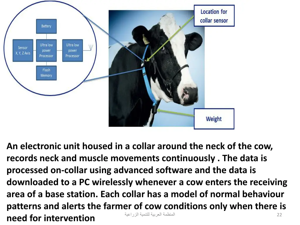 an electronic unit housed in a collar around