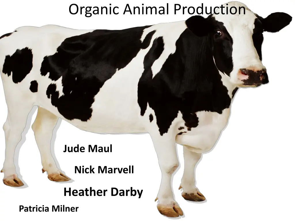 organic animal production 1