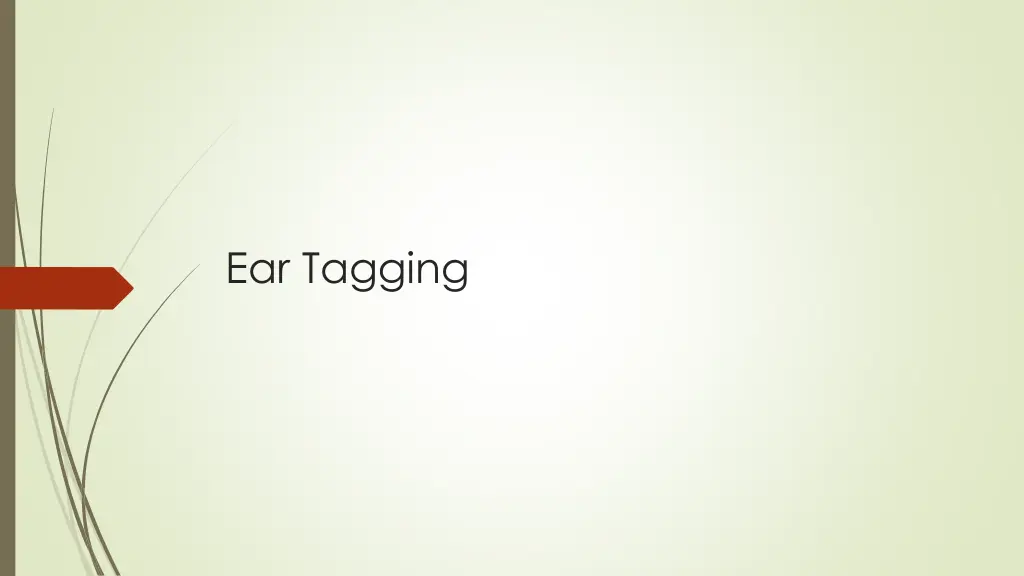 ear tagging