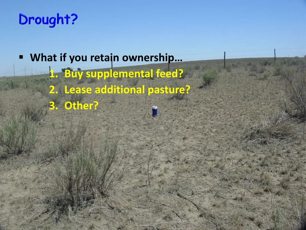 what if you retain ownership 1 buy supplemental