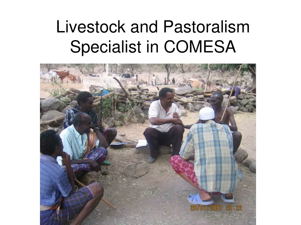 livestock and pastoralism specialist in comesa