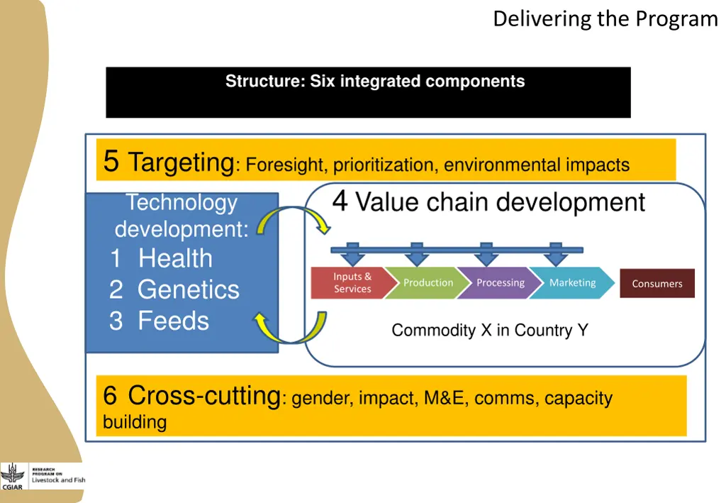 delivering the program