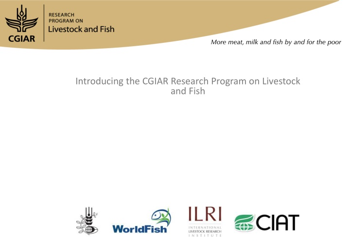 introducing the cgiar research program