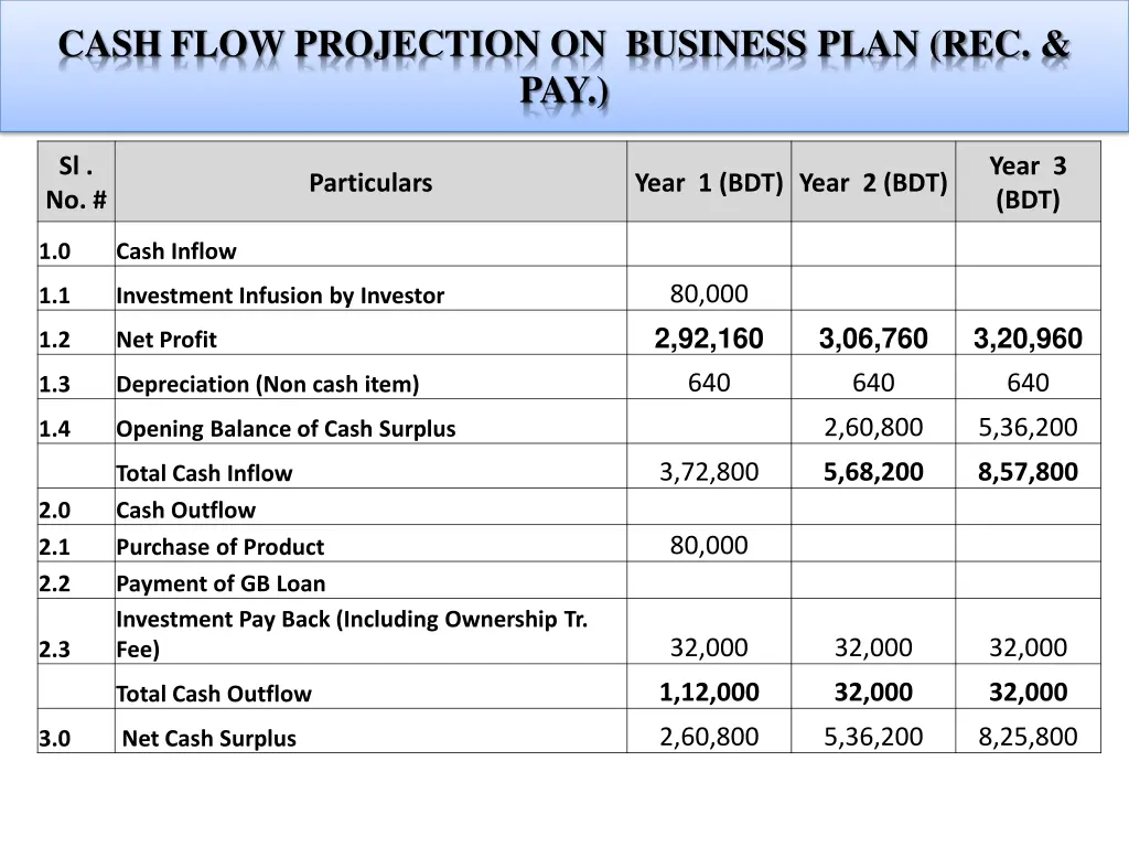 cash flow projection on business plan rec pay