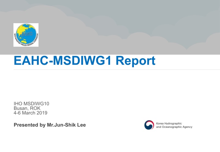 eahc msdiwg1 report