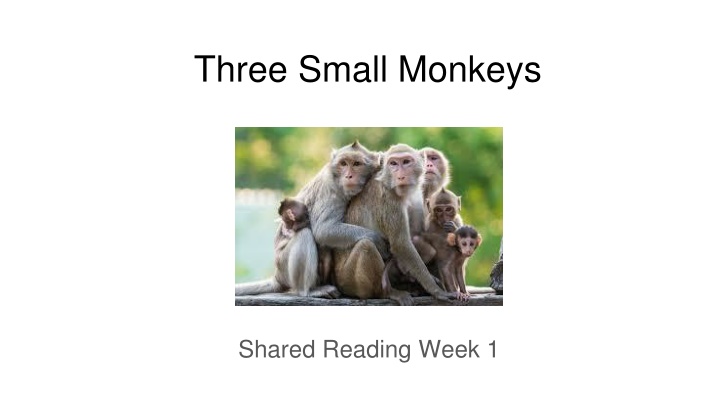 three small monkeys