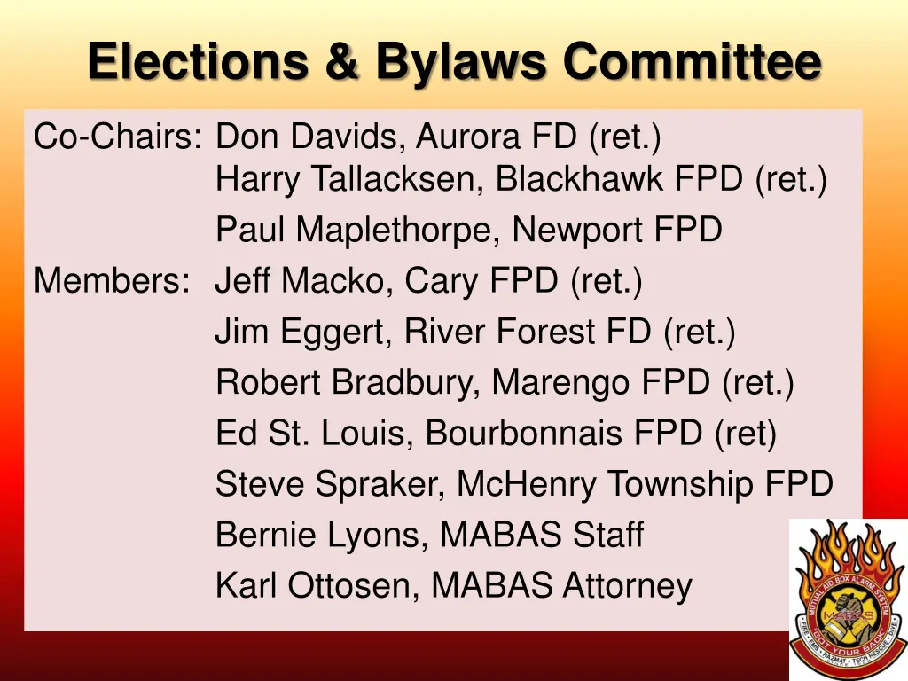 elections bylaws committee