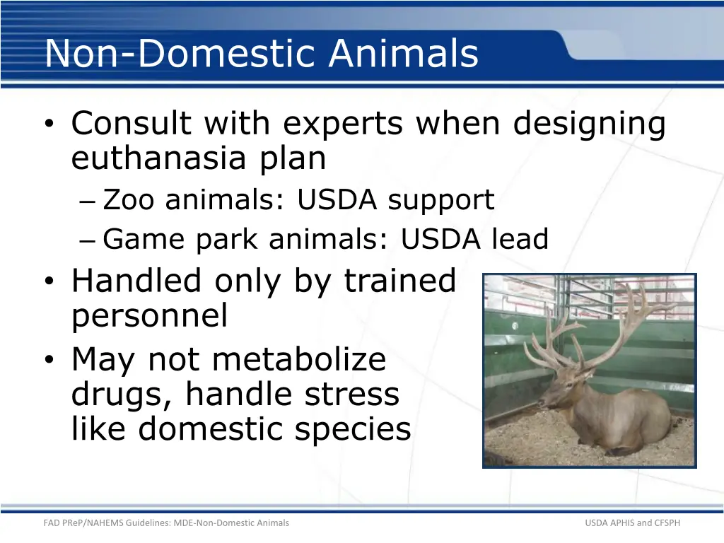 non domestic animals