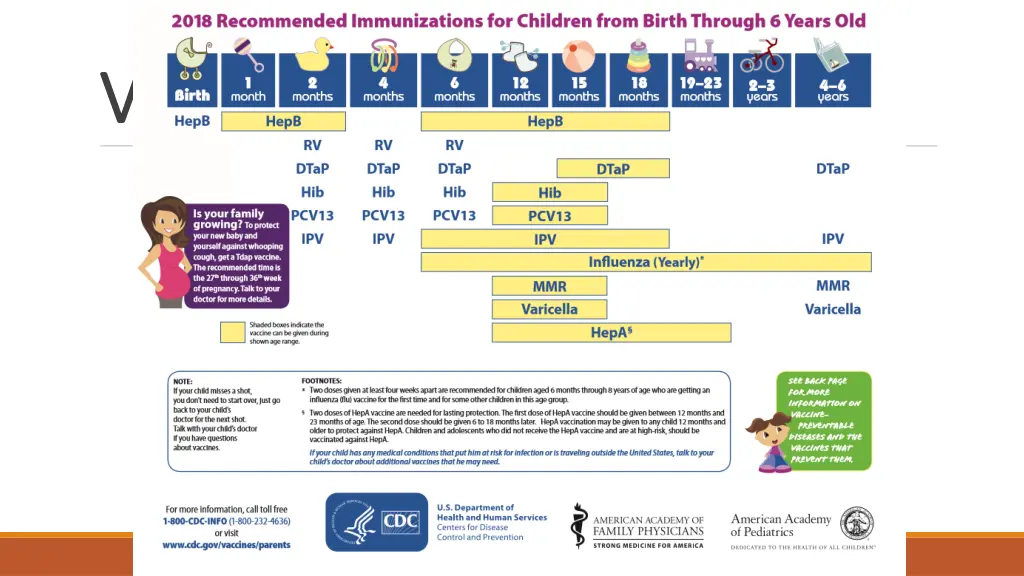 vaccines vaccines schedules