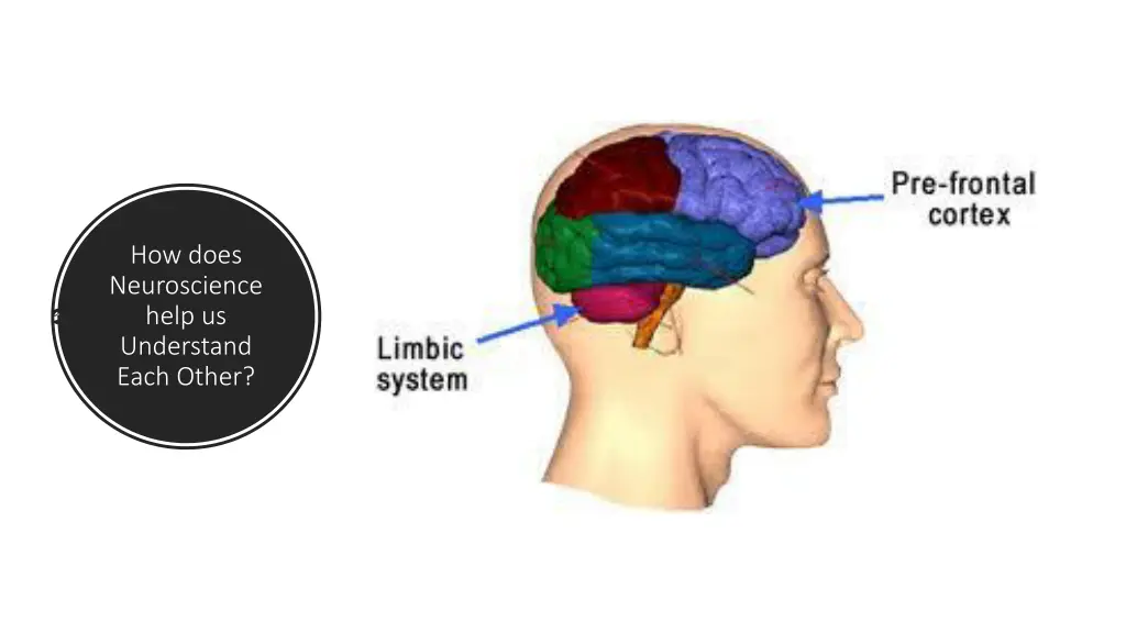 how does neuroscience help us understand each