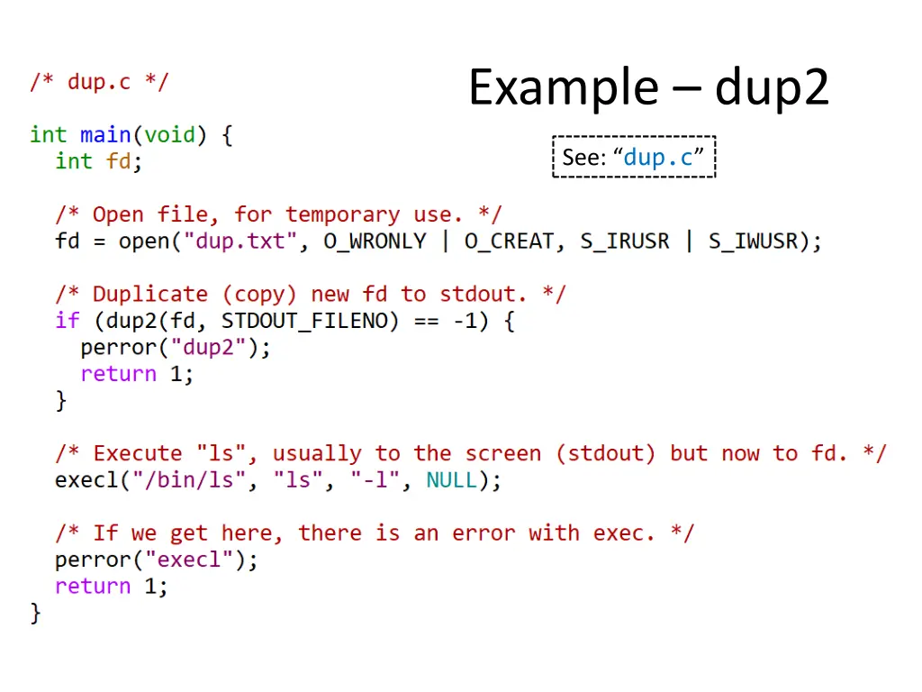 example dup2