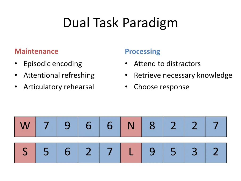 dual task paradigm