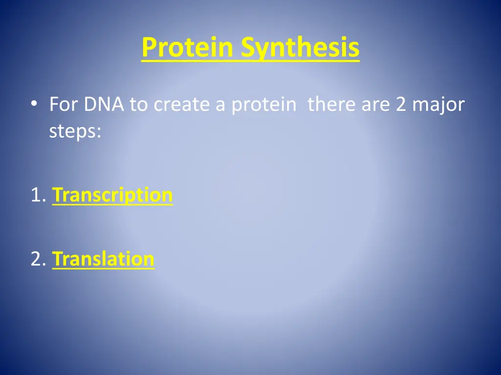 protein synthesis