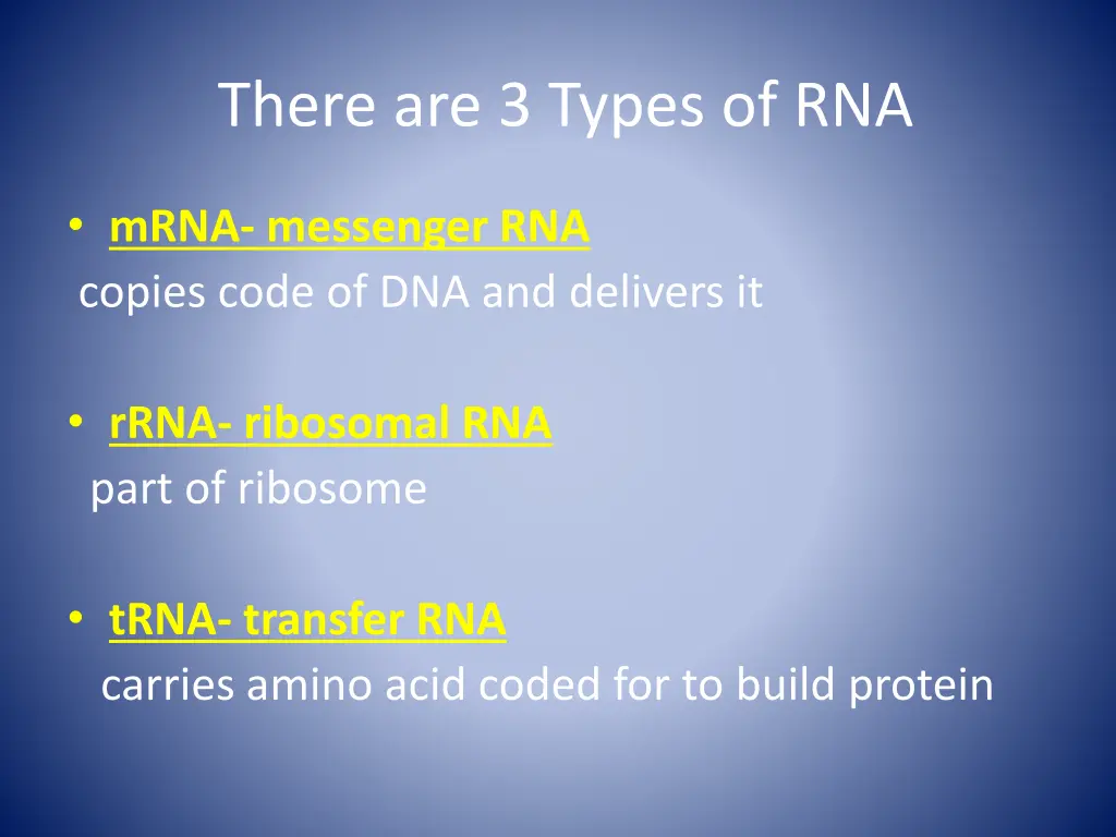 there are 3 types of rna