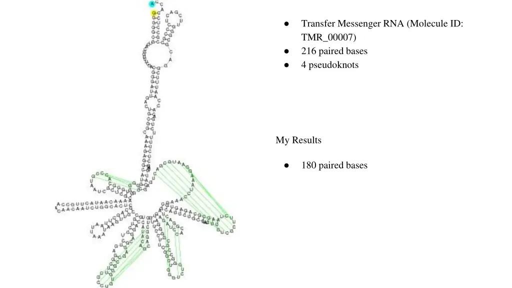 transfer messenger rna molecule id tmr 00007