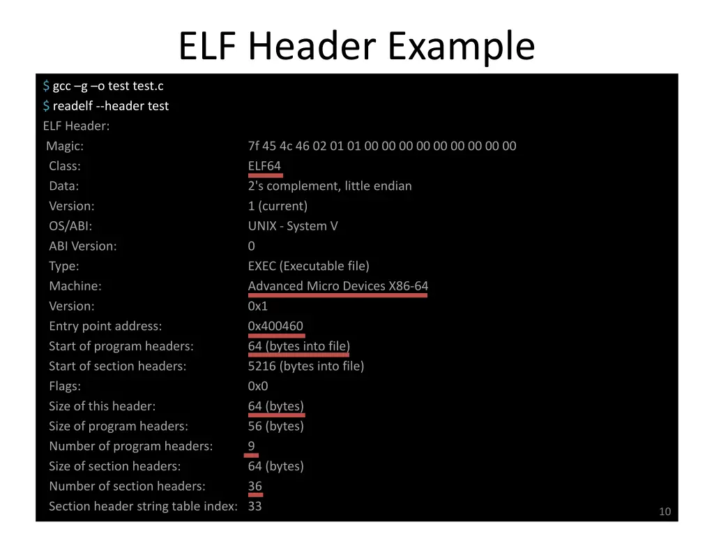 elf header example