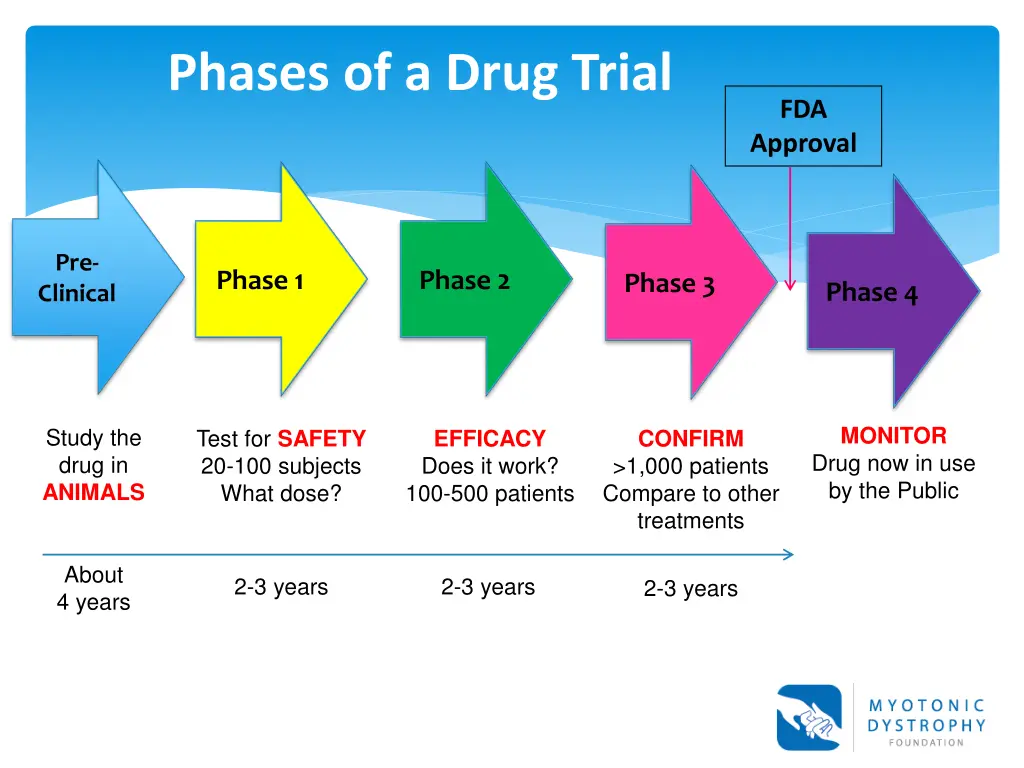 phases of a drug trial