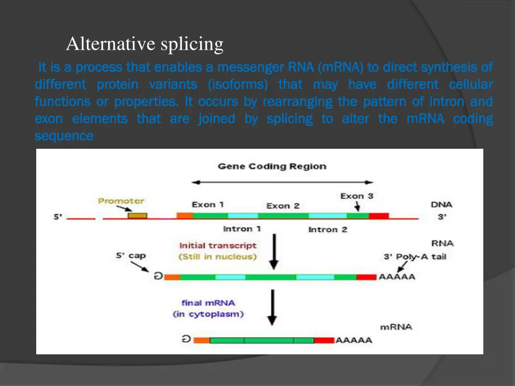 alternative splicing