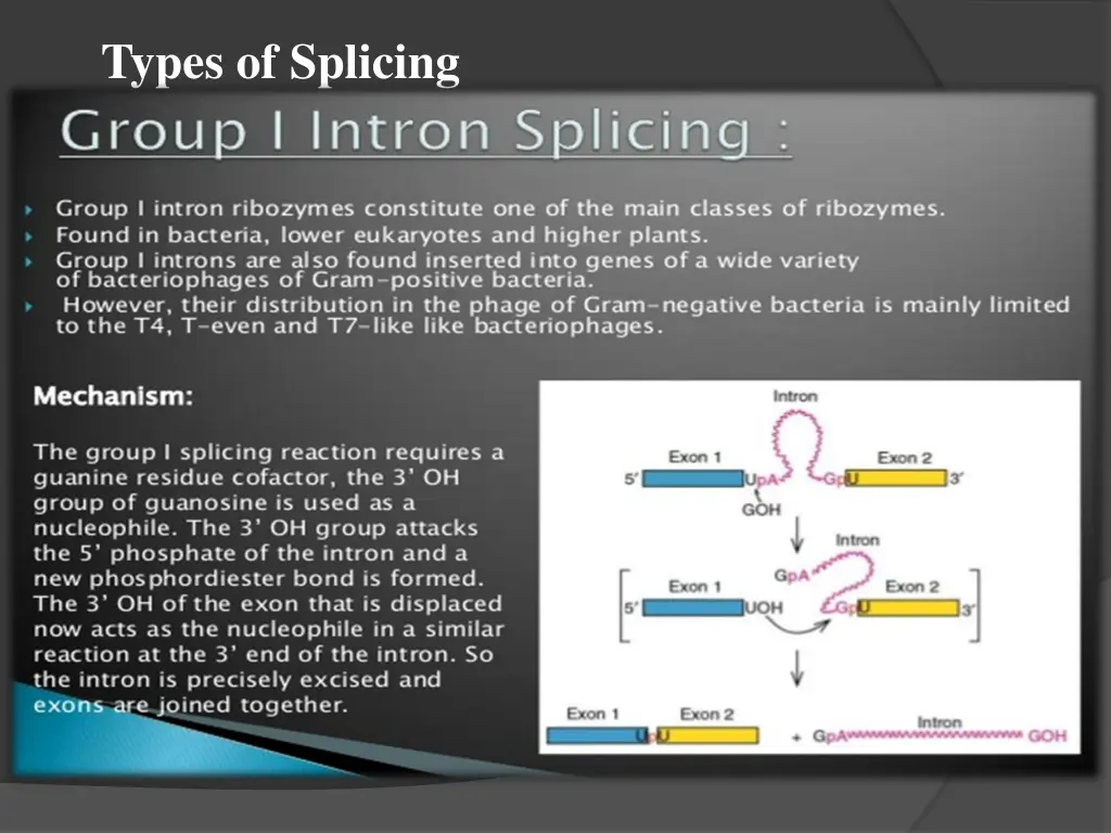 types of splicing