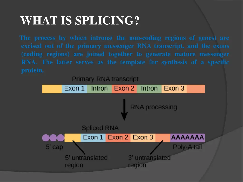 what is splicing