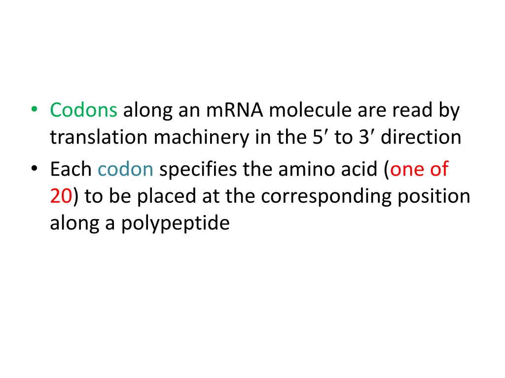 codons along an mrna molecule are read